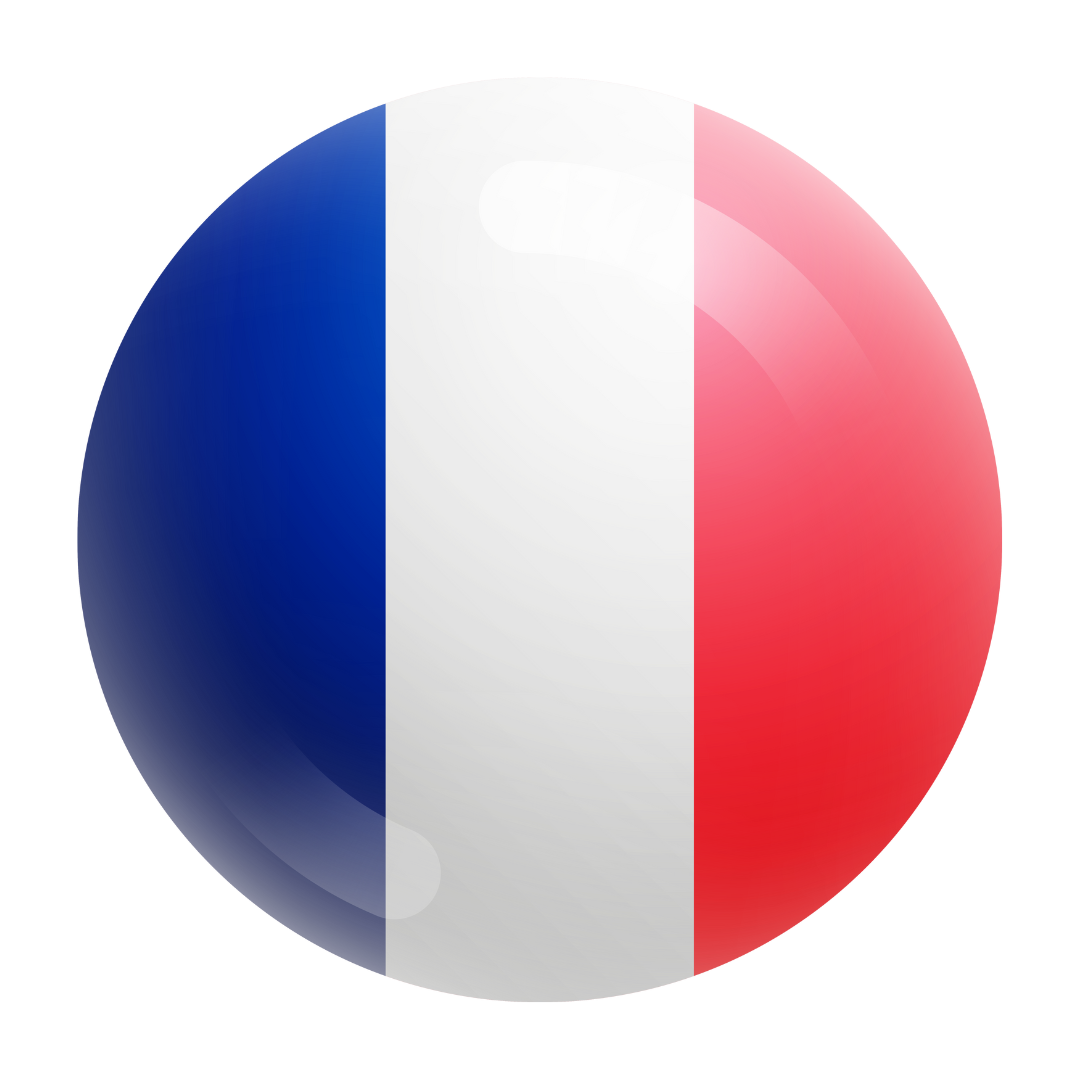 DELF/DALF Exam Preparation